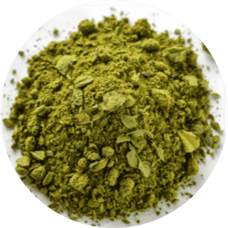 Green Tea Extract JellyBurn ingredient